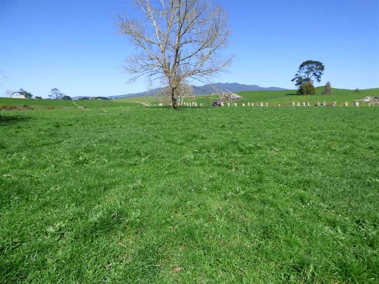 336 Grove Road Te Pahu_23