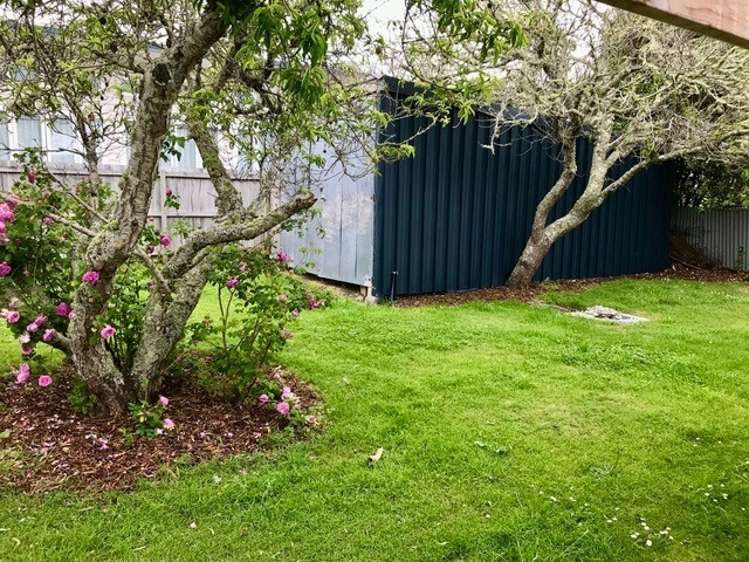 17 Crispe Road Clarks Beach_8