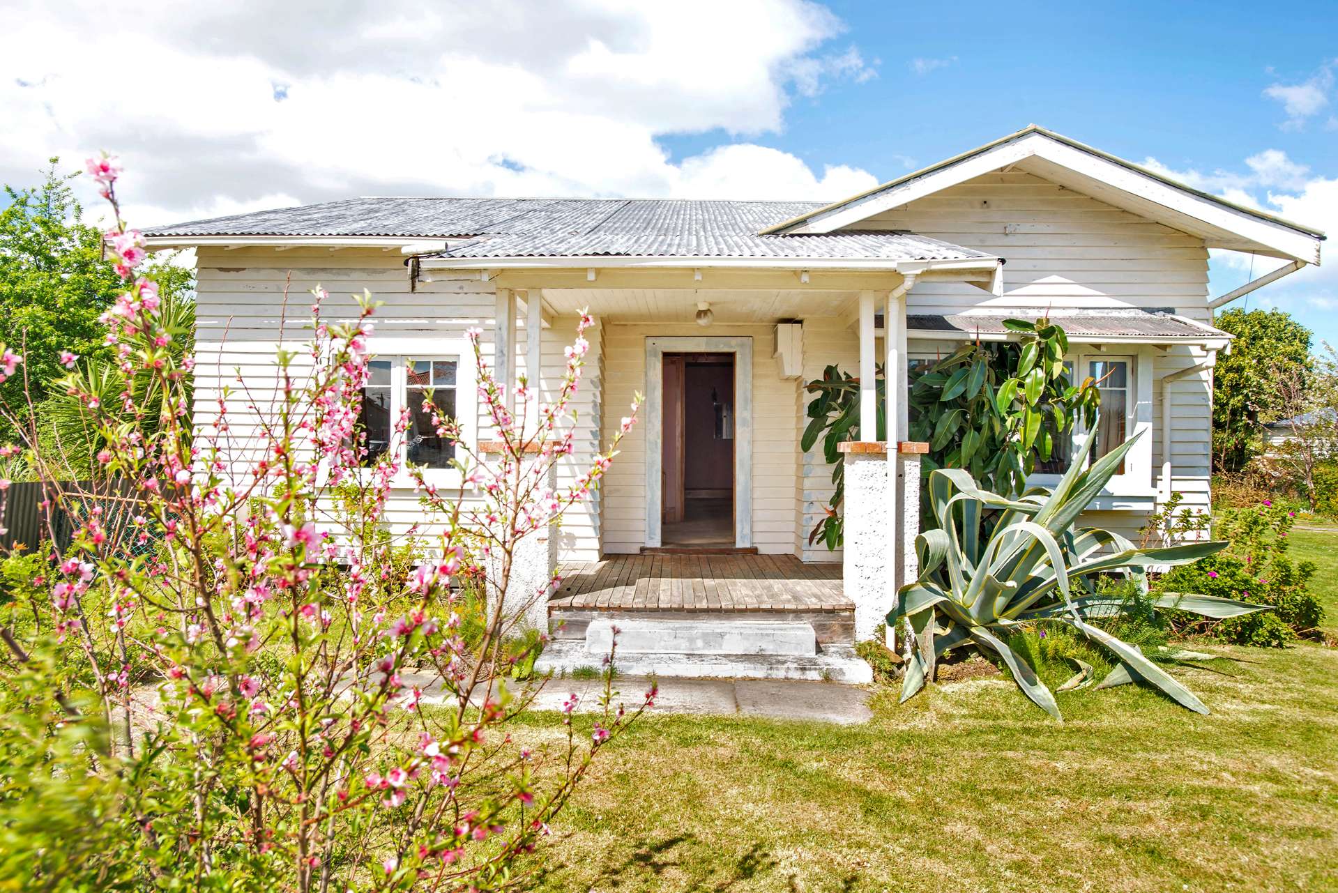 16 Albert Street Te Hapara_0