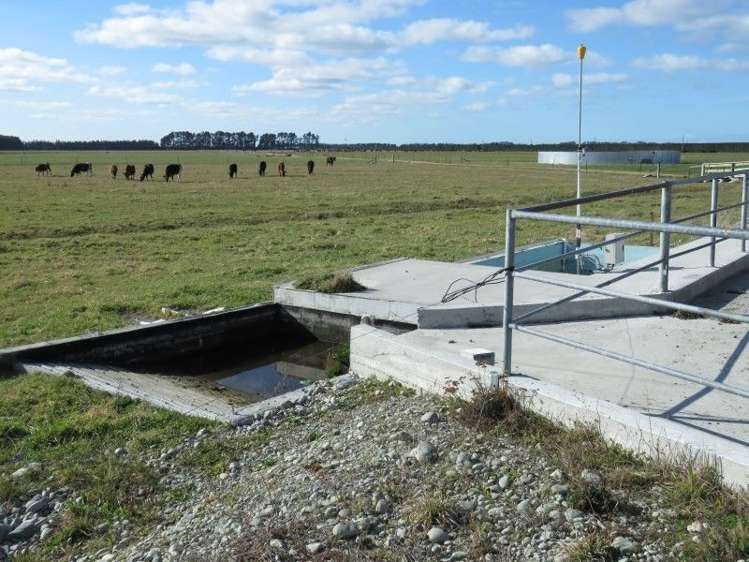 1035 Newland Road Clandeboye_19