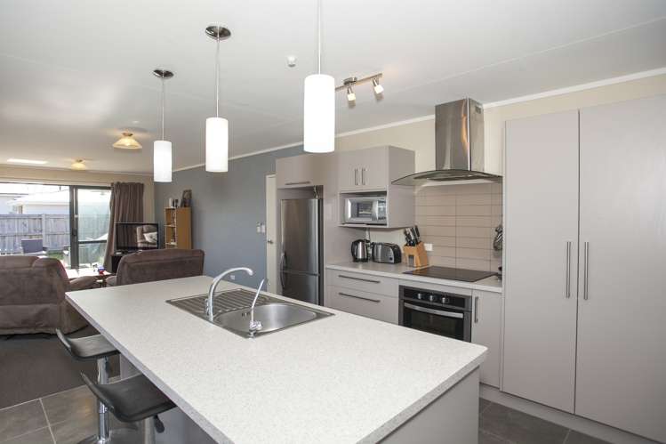 14a Rata Street Roslyn_5