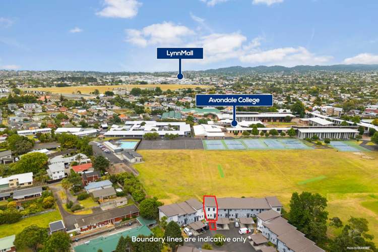 57/42 Holly Street Avondale_10