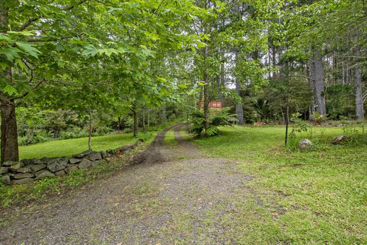 106 Trounson Park Road Dargaville Surrounds_14