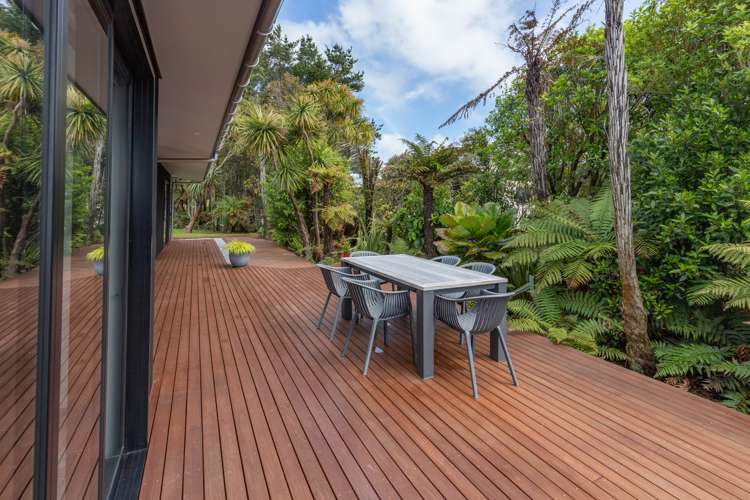 23 Pandora Avenue Camerons_20