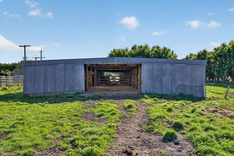 65 Burneys Road Motukarara_30