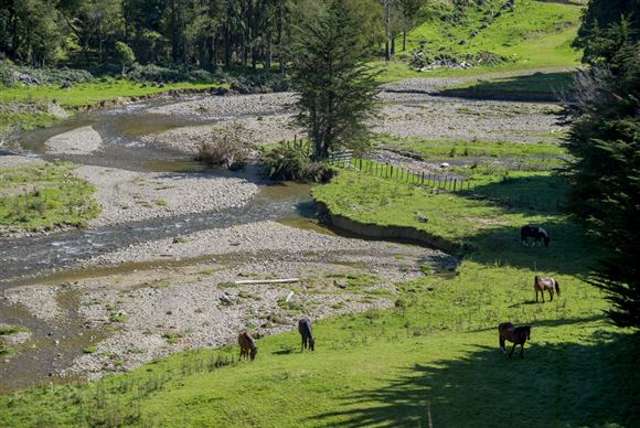 154 Akatarawa Road Waikanae_4