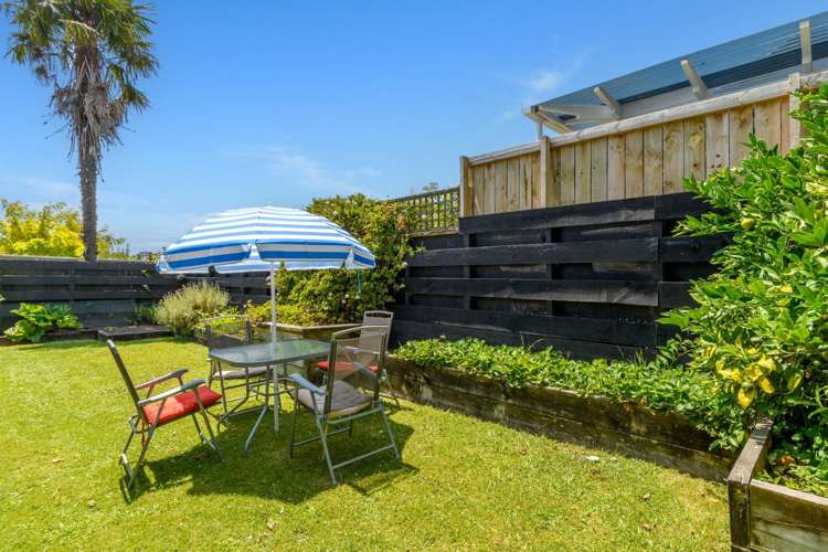 3/388 Devonport Road Tauranga Central_18