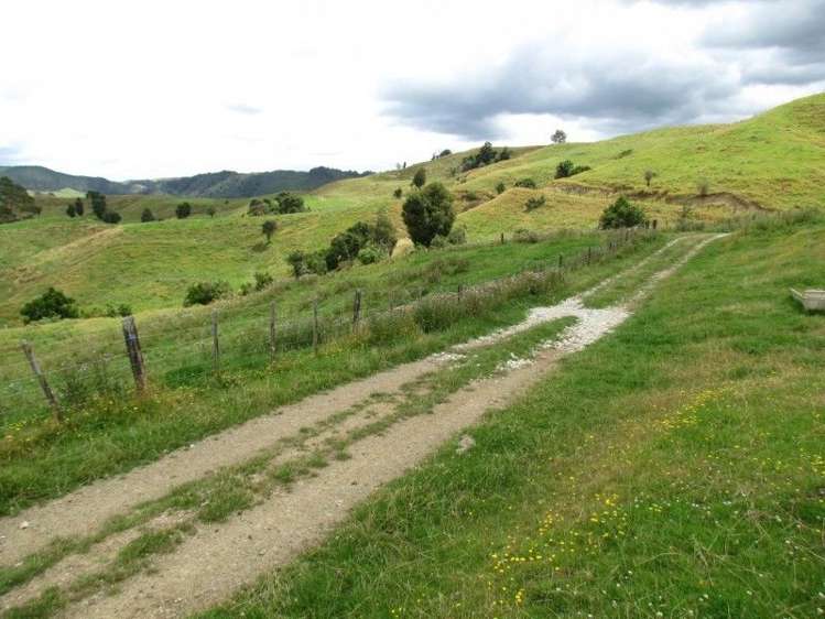 531 Boddie Road Te Kuiti_5