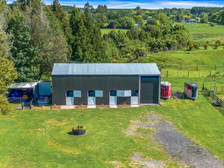 1235 Omanawa Road Omanawa_32