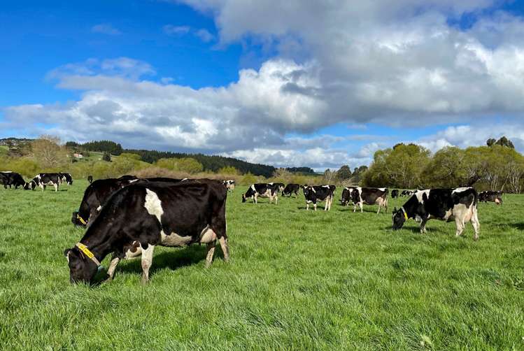 1128 Wyndham Road Wyndham_20