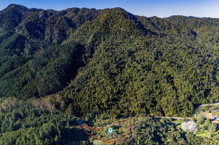 694 The 309 Road, Waiau_3
