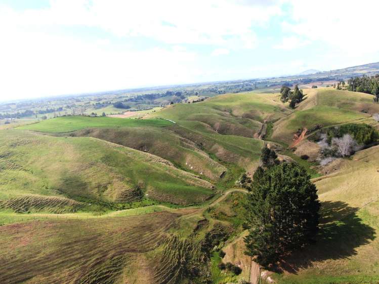 1026 Limeworks Loop Road Karamu_11