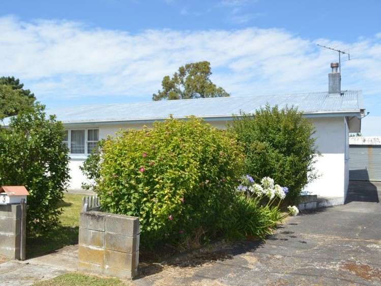 3 Philip Street Carterton_15