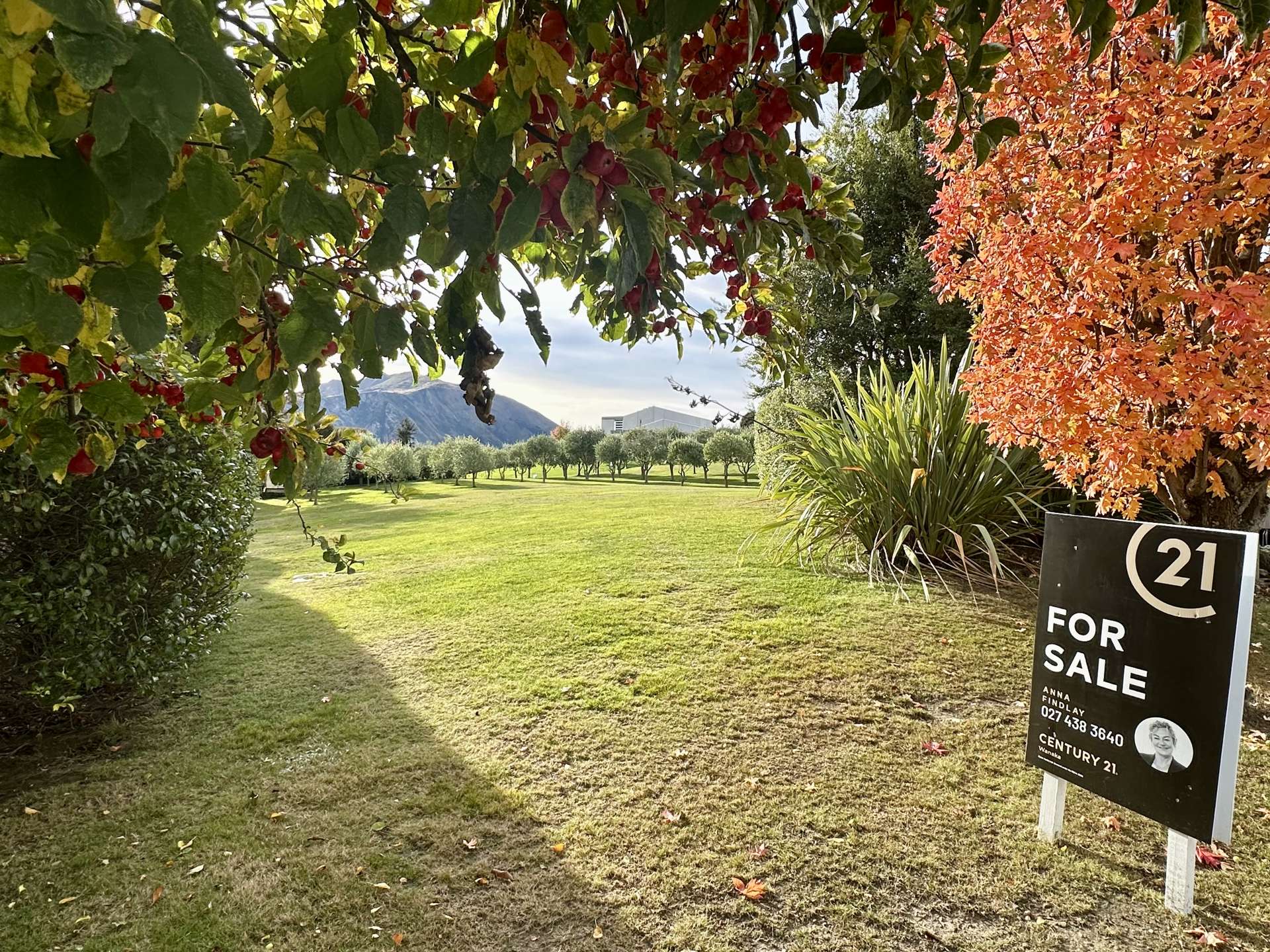 3 Ridgecrest Wanaka_0