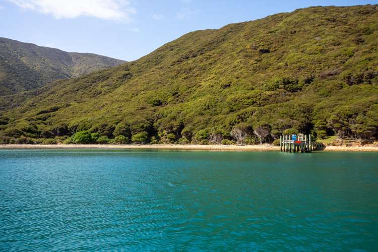 Lot 4 + 5 Te Aroha Bay, Otanerau Bay Marlborough Sounds_65