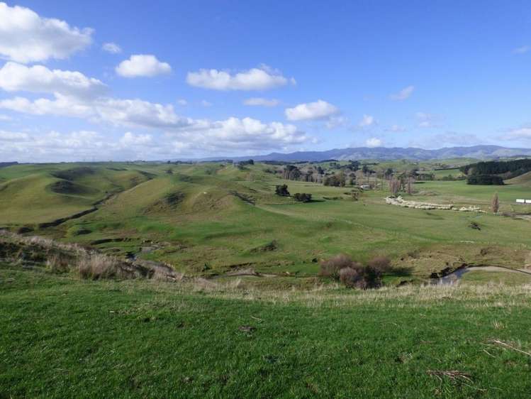 210 Valley Road Bunnythorpe_11