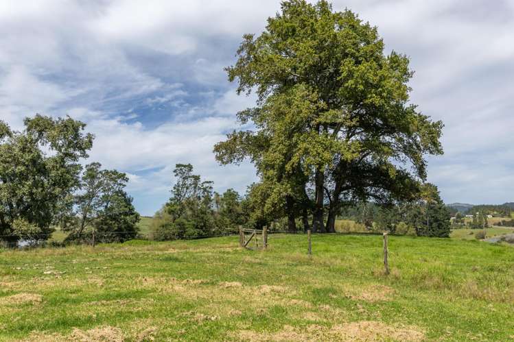 610 Rotowaro Road Huntly_42