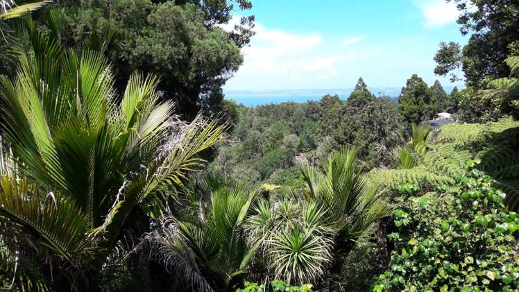 82 Park Road Titirangi_18