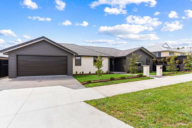 17 Spudman Rise Pukekohe_0