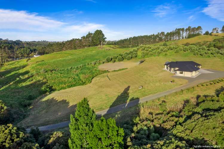 53 Tender Road Dairy Flat_16