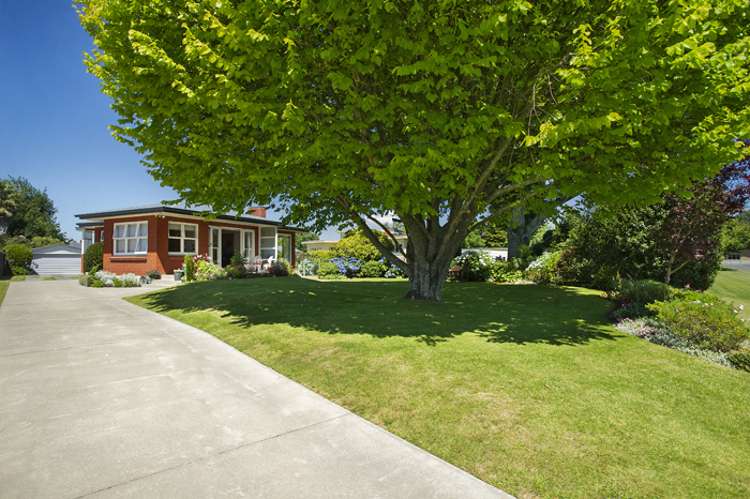 3 Totara Avenue_0