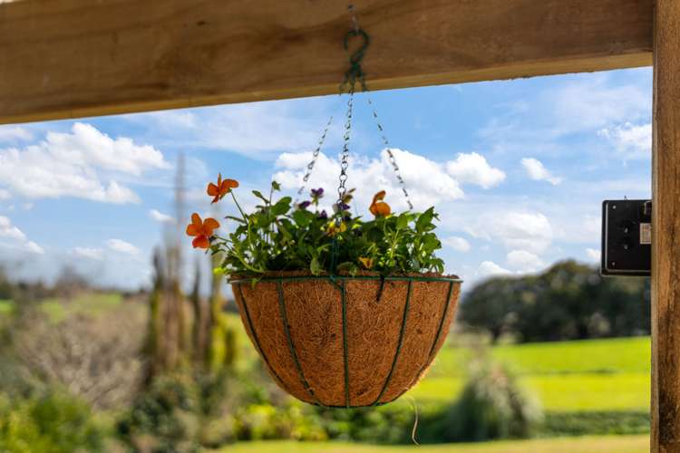 25 Hastie Lane Kaiwaka_19