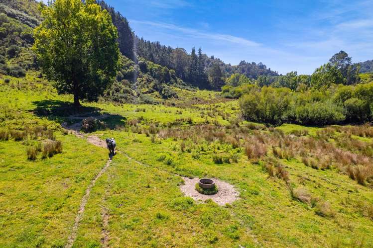 324 Okoki Road Urenui_24