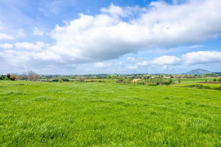 Lot 3 Bird Road Pirongia_12