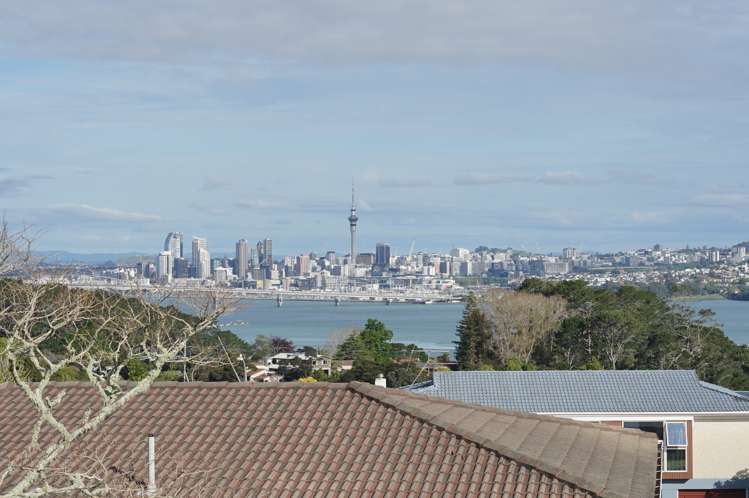 20 Chelsea View Drive Chatswood_19