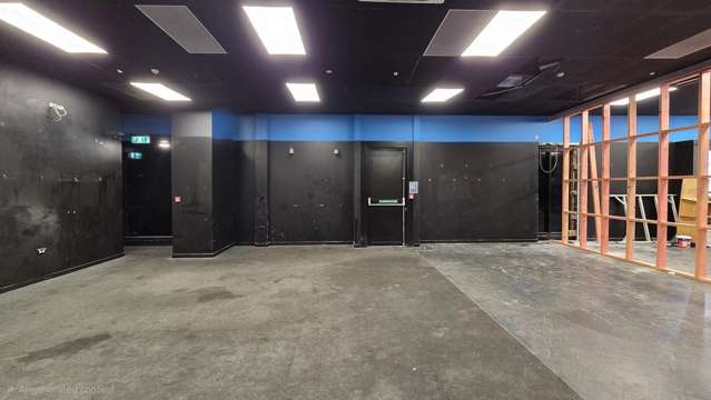 5 Nurseryman Lane Christchurch Central_4