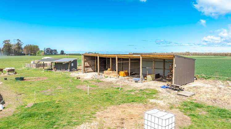 8 Barretts Road Seadown_22