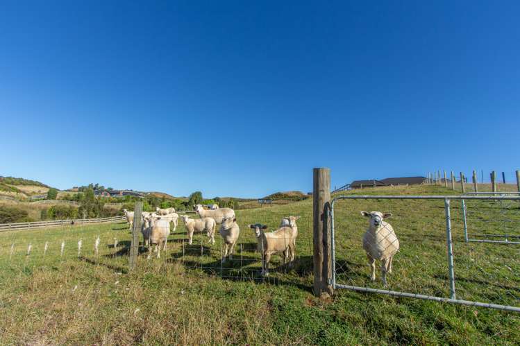 9 Todd Duncan Drive Hamurana_9