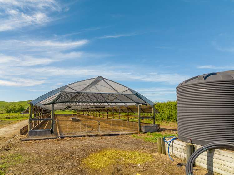 6 Tahuroa Road Tauwhare_22