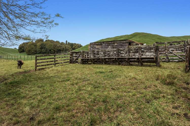 103 Rendall Road Rotoma_6