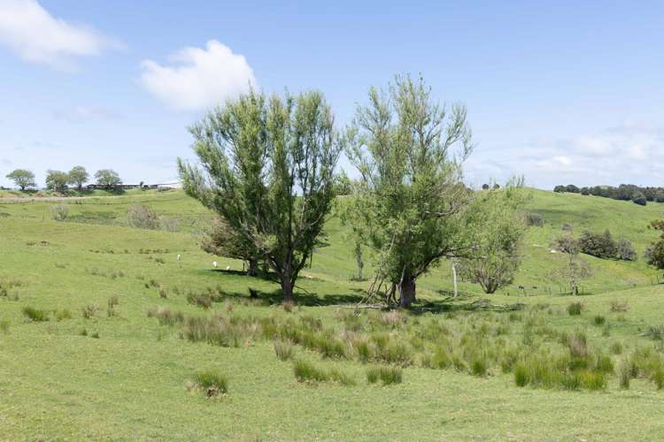 282 Girls High School Road Pukehuia_7