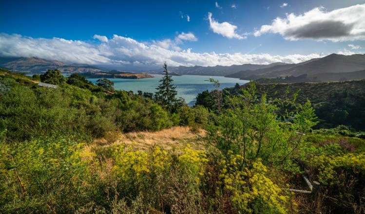 23 Buxtons Road Lyttelton_11