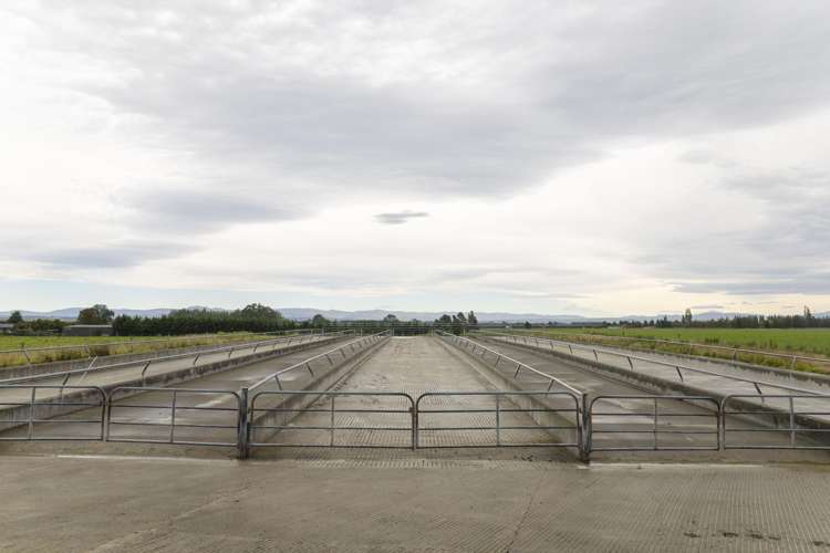 47 Wilson Road Timaru_11