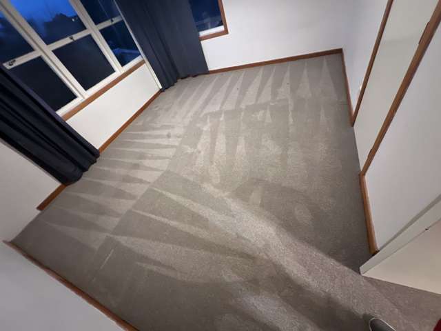 16 Springleigh Avenue Mount Albert_2