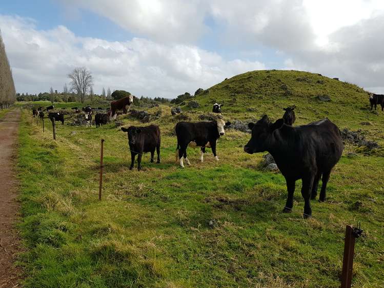 7045 State Highway 1 Pakaraka_18