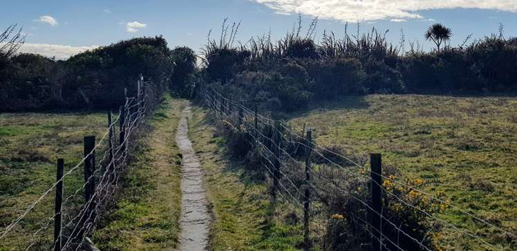 15 Nyhon Place Haast_11