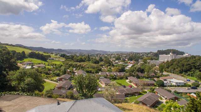 232 Maunu Road Horahora_4