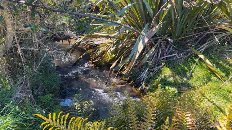 459 Wainui Road Raglan_12