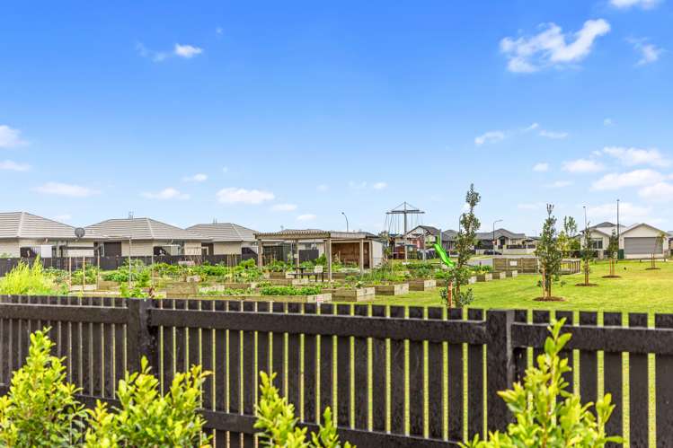 66 Arrow Close Papamoa_4