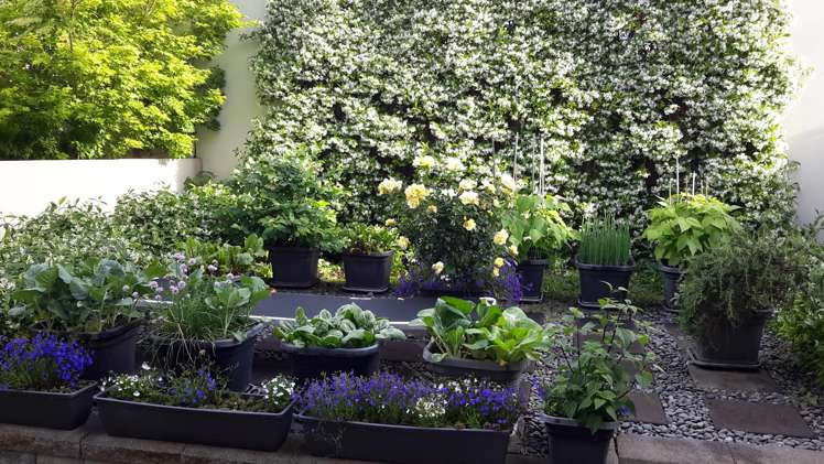 E3/71 Spencer Road Albany_22