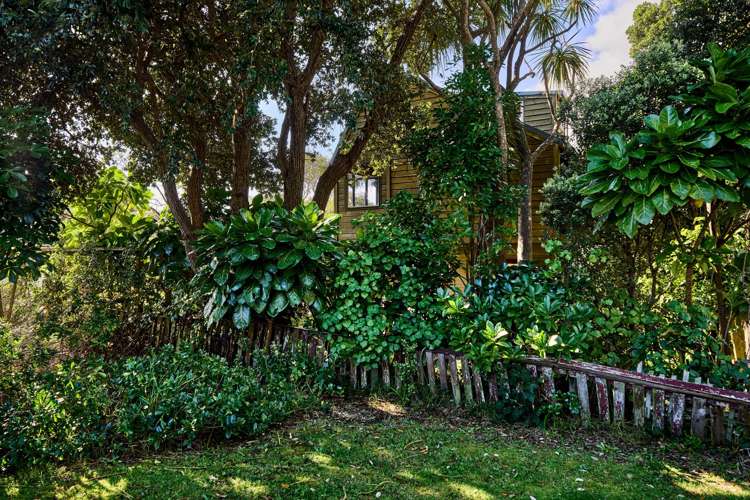 9 Nikau Street Eastbourne_20