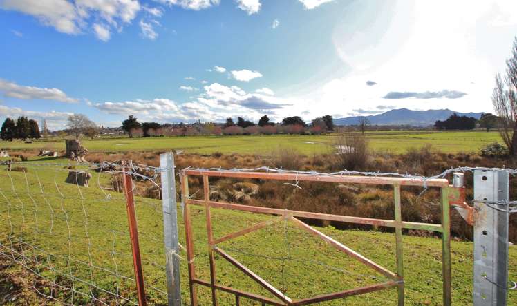 54 Hamilton Street Gore Surrounds_18