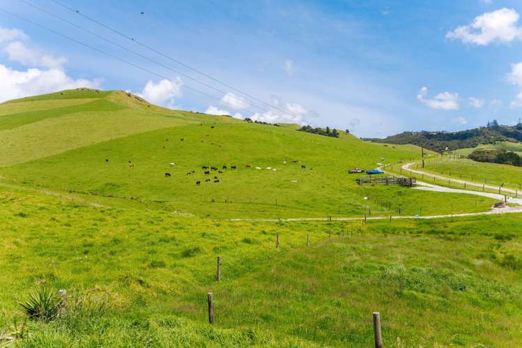 568 Tinopai Road Tinopai_43