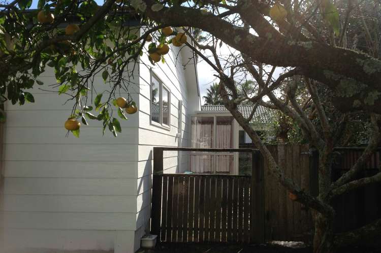 3 Dan Tori Place Orewa_17