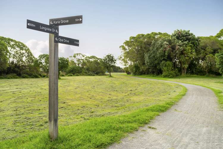 14 Katerini Grove Papamoa_26