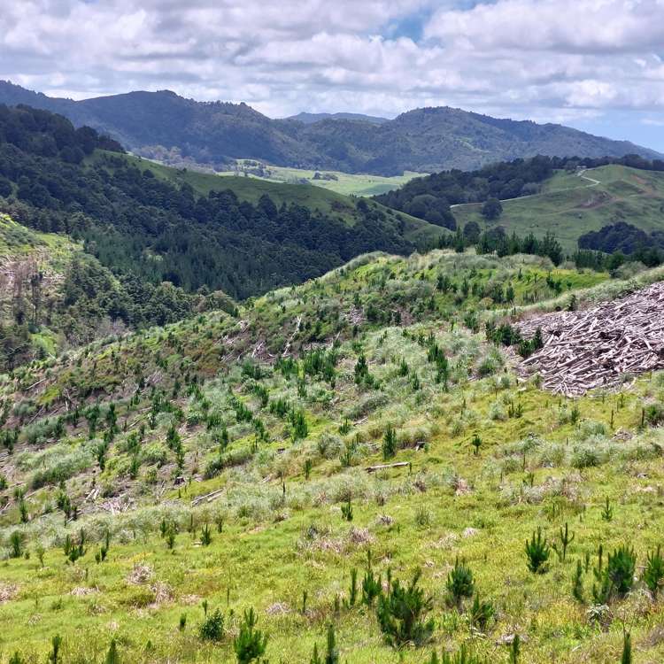 Lot 8/47 Kamea Place Maungaturoto_9